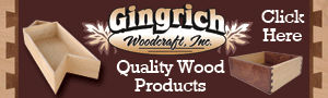 Gingrich -- Right Banner Ad